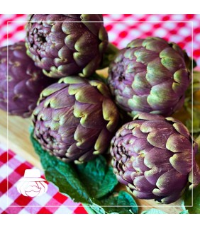 Carciofi Romaneschi x 4
