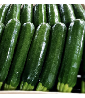 Zucchine scure 5kg